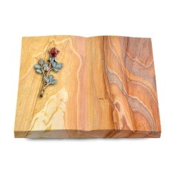 Grabbuch Livre/Rainbow Rose 7 (Color)