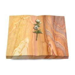 Grabbuch Livre/Rainbow Rose 8 (Color)