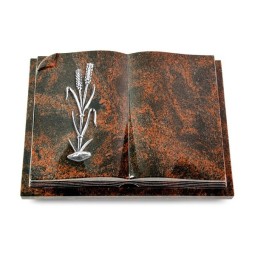 Grabbuch Livre Auris/Aruba Ähren 2 (Alu)