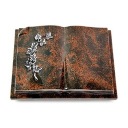 Grabbuch Livre Auris/Aruba Efeu (Alu)