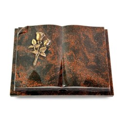 Grabbuch Livre Auris/Aruba Rose 11 (Bronze)