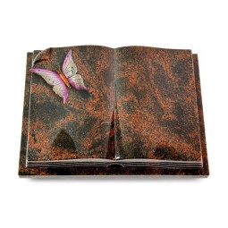 Grabbuch Livre Auris/Aruba Papillon 1 (Color)