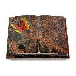 Grabbuch Livre Auris/Aruba Papillon 2 (Color)