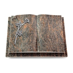 Grabbuch Livre Auris/Himalaya Rose 9 (Alu)