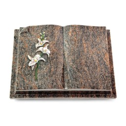 Grabbuch Livre Auris/Himalaya Orchidee (Color)