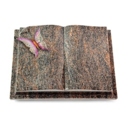 Grabbuch Livre Auris/Himalaya Papillon 1 (Color)