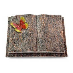 Grabbuch Livre Auris/Himalaya Papillon 2 (Color)