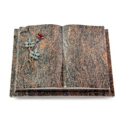 Grabbuch Livre Auris/Himalaya Rose 4 (Color)