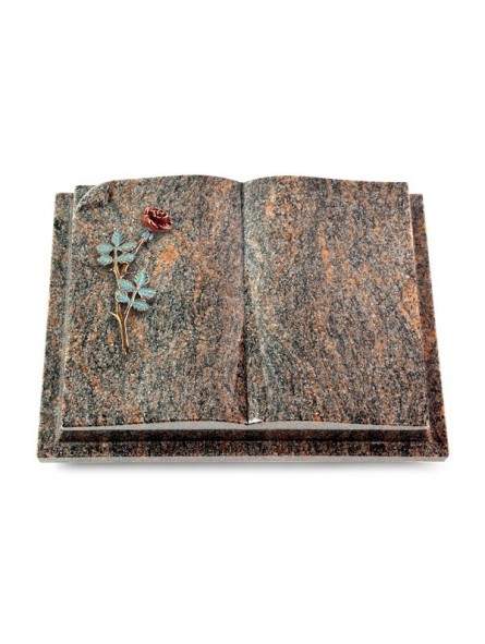 Grabbuch Livre Auris/Himalaya Rose 4 (Color)