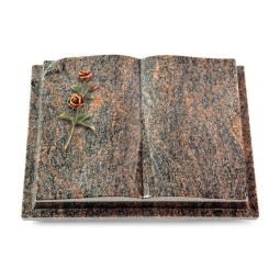 Grabbuch Livre Auris/Himalaya Rose 6 (Color)