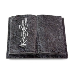 Grabbuch Livre Auris/Orion Ähren 2 (Alu)