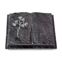 Grabbuch Livre Auris/Orion Gingozweig 1 (Alu)