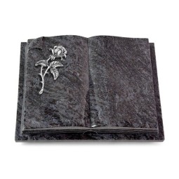 Grabbuch Livre Auris/Orion Rose 2 (Alu)