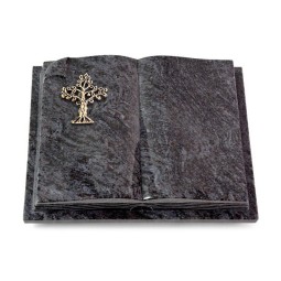 Grabbuch Livre Auris/Orion Baum 2 (Bronze)