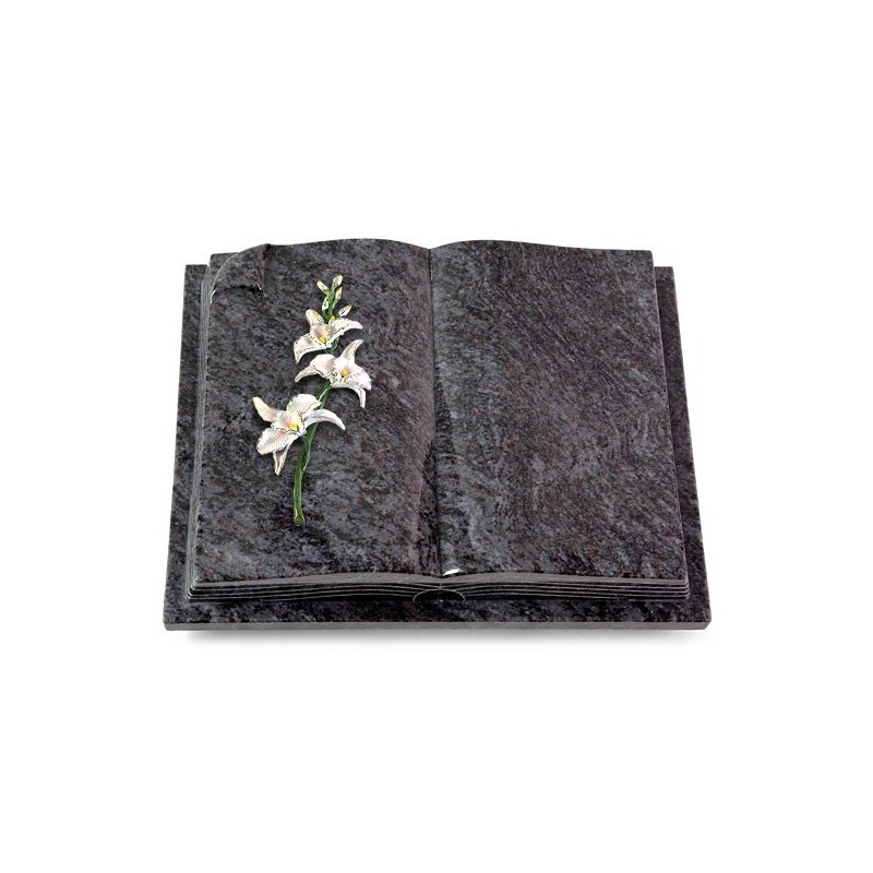 Grabbuch Livre Auris/Orion Orchidee (Color)