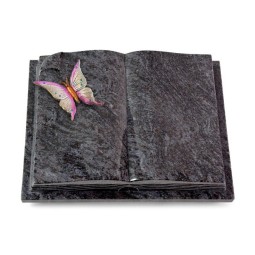 Grabbuch Livre Auris/Orion Papillon 1 (Color)