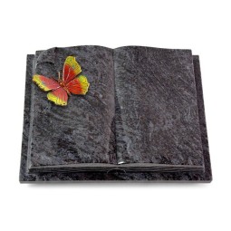 Grabbuch Livre Auris/Orion Papillon 2 (Color)