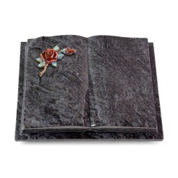 Grabbuch Livre Auris/Orion Rose 1 (Color)