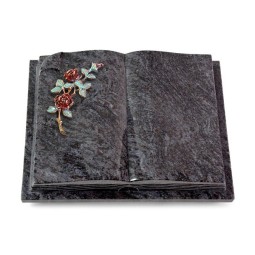 Grabbuch Livre Auris/Orion Rose 3 (Color)