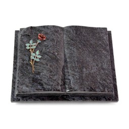 Grabbuch Livre Auris/Orion Rose 4 (Color)