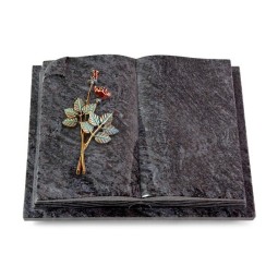 Grabbuch Livre Auris/Orion Rose 5 (Color)