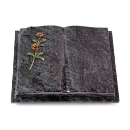 Grabbuch Livre Auris/Orion Rose 6 (Color)