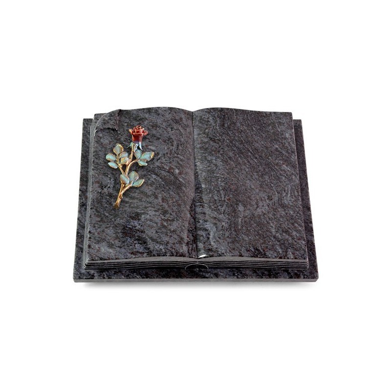 Grabbuch Livre Auris/Orion Rose 7 (Color)
