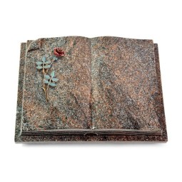 Grabbuch Livre Auris/Paradiso Rose 4 (Color)