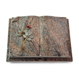 Grabbuch Livre Auris/Paradiso Rose 5 (Color)