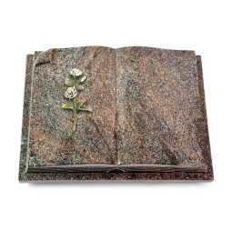 Grabbuch Livre Auris/Paradiso Rose 8 (Color)