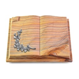 Grabbuch Livre Auris/Rainbow Gingozweig 2 (Alu)