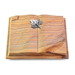 Grabbuch Livre Auris/Rainbow Rose 3 (Alu)