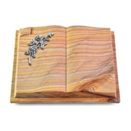 Grabbuch Livre Auris/Rainbow Rose 5 (Alu)