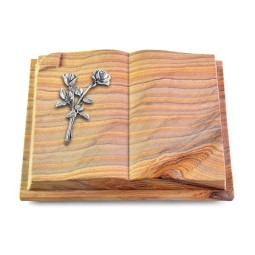 Grabbuch Livre Auris/Rainbow Rose 10 (Alu)