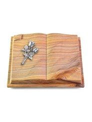 Grabbuch Livre Auris/Rainbow Rose 11 (Alu)