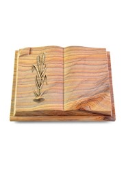Grabbuch Livre Auris/Rainbow Ähren 2 (Bronze)