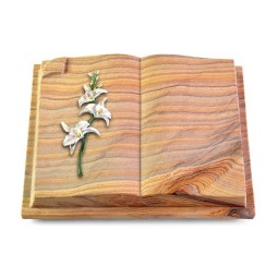 Grabbuch Livre Auris/Rainbow Orchidee (Color)