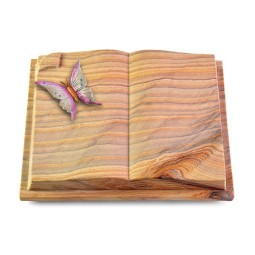 Grabbuch Livre Auris/Rainbow Papillon 1 (Color)