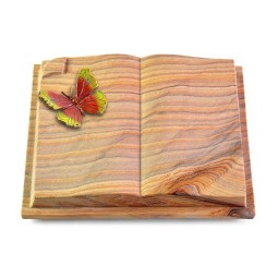 Grabbuch Livre Auris/Rainbow Papillon 2 (Color)