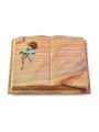 Grabbuch Livre Auris/Rainbow Rose 2 (Color)