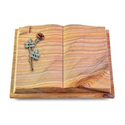 Grabbuch Livre Auris/Rainbow Rose 4 (Color)