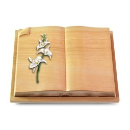 Grabbuch Livre Auris/Woodland Orchidee (Color)