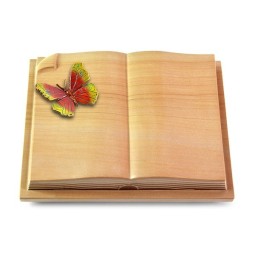 Grabbuch Livre Auris/Woodland Papillon 2 (Color)