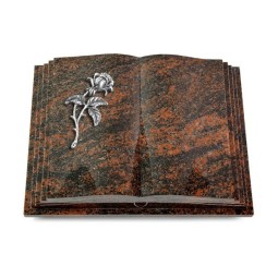 Grabbuch Livre Pagina/Aruba Rose 2 (Alu)