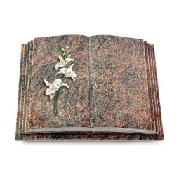 Grabbuch Livre Pagina/Himalaya Orchidee (Color)