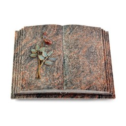 Grabbuch Livre Pagina/Himalaya Rose 5 (Color)