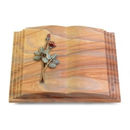 Grabbuch Livre Pagina/Rainbow Rose 5 (Color)