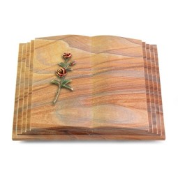 Grabbuch Livre Pagina/Rainbow Rose 6 (Color)