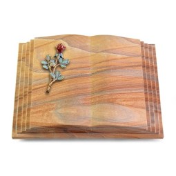 Grabbuch Livre Pagina/Rainbow Rose 7 (Color)