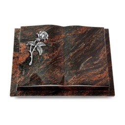 Grabbuch Livre Podest/Aruba Rose 2 (Alu)